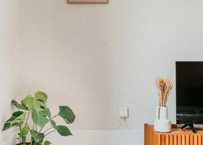 A 2 Pas De La Cosy Et Super Equipe Гавр